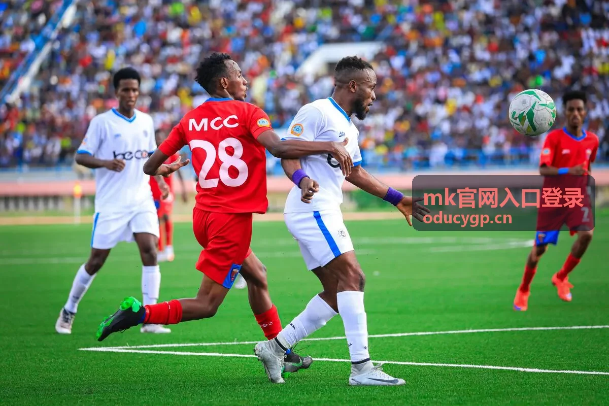 mk官网入口登录的密码重置与账号找回操作说明